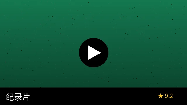 画面质量评分展示